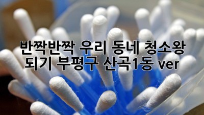 ✨ 반짝반짝 우리 동네 청소왕 되기! (부평구 산곡1동 ver.) 🏡