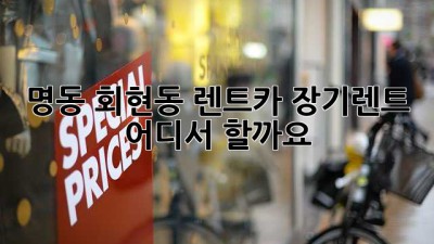 명동 회현동 렌트카 장기렌트, 어디서 할까요?